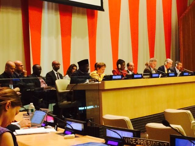 DG NEMA representing Africa addressing an ECOSOC PAnel on Effective Humanitarian Assistance at the UN General Assembly